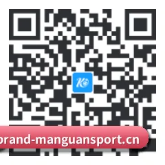 iPhone 专版 二维码